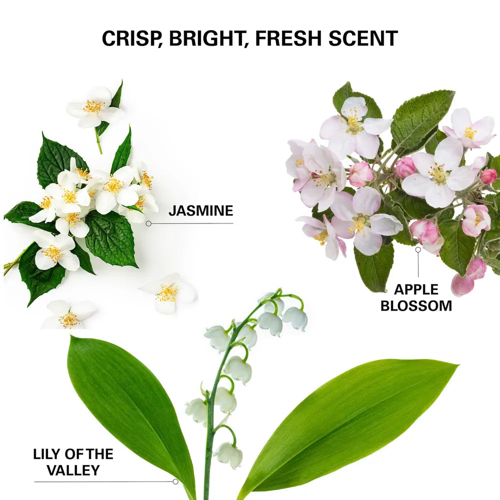 Insta-WOW Advanced Dry Shampoo