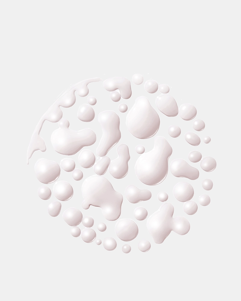 Gloss Absolu Anti-Frizz Milk