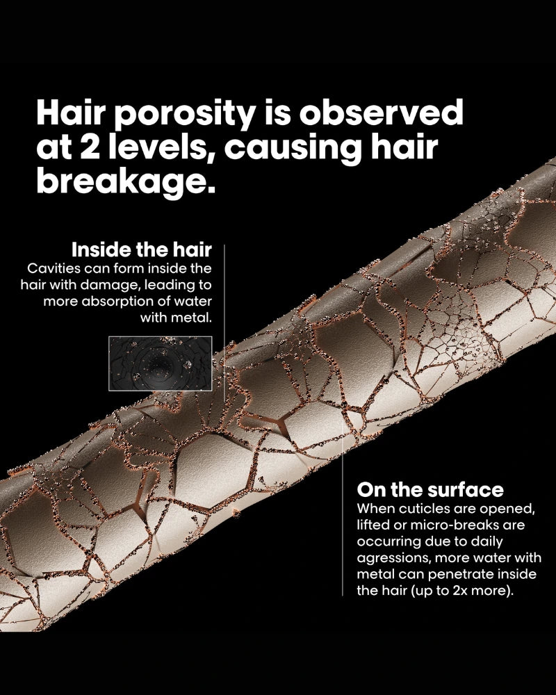 Serie Expert Metal Detox Pre-Shampoo Treatment