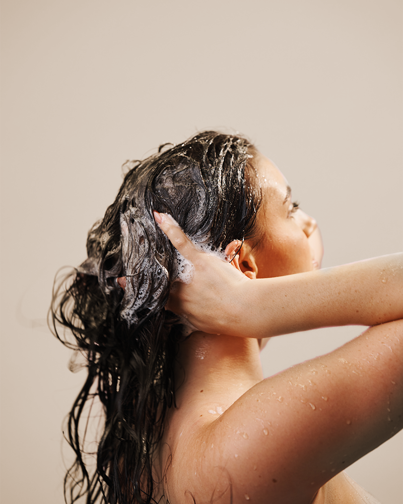 Colour Care Shampoo 500ml