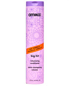 Big Hit Volumizing Conditioner