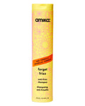 Forget Frizz Anti-Frizz Shampoo