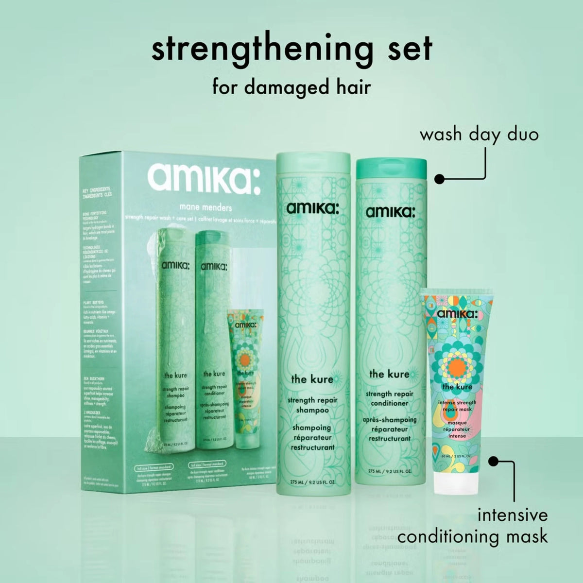 Mane Menders Gift Set