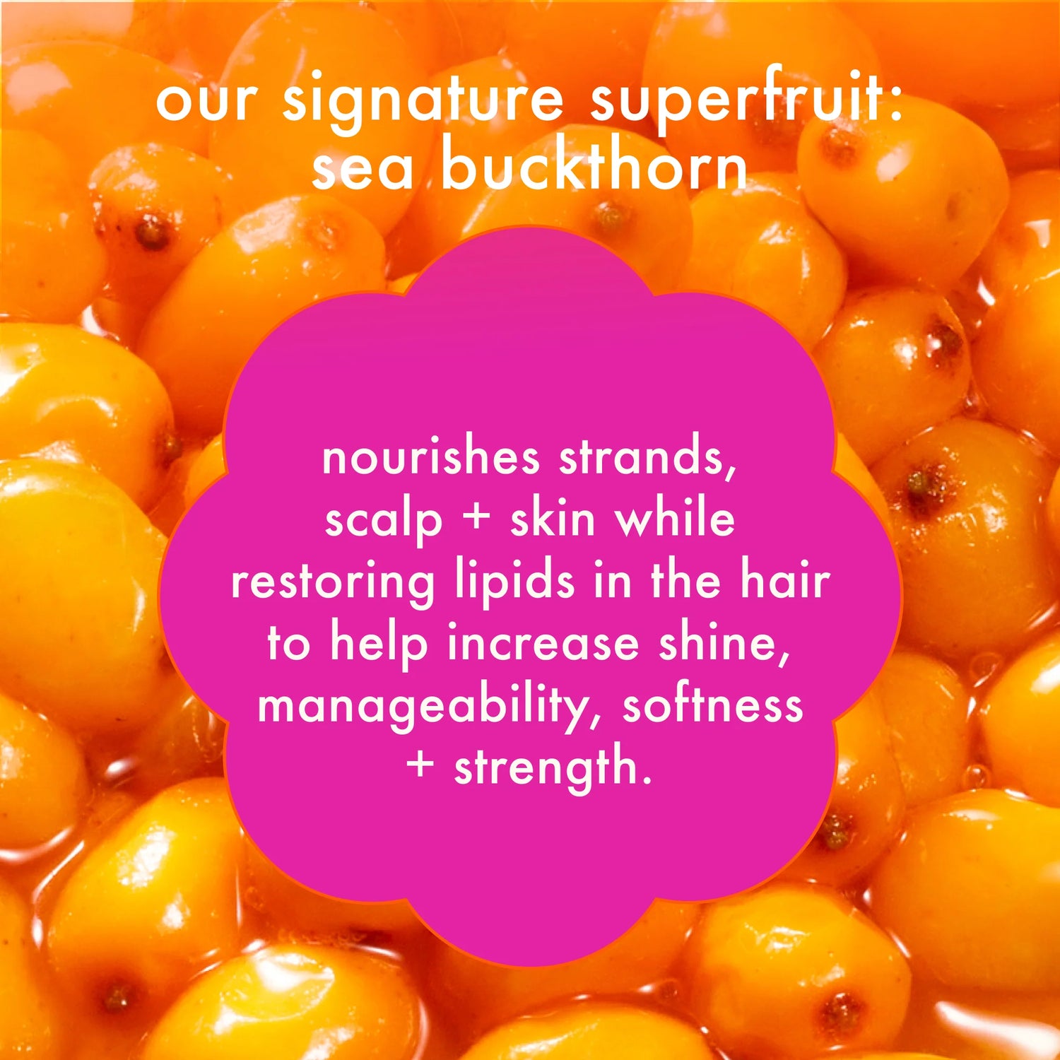 Superfruit Star Lightweight Styling Oil