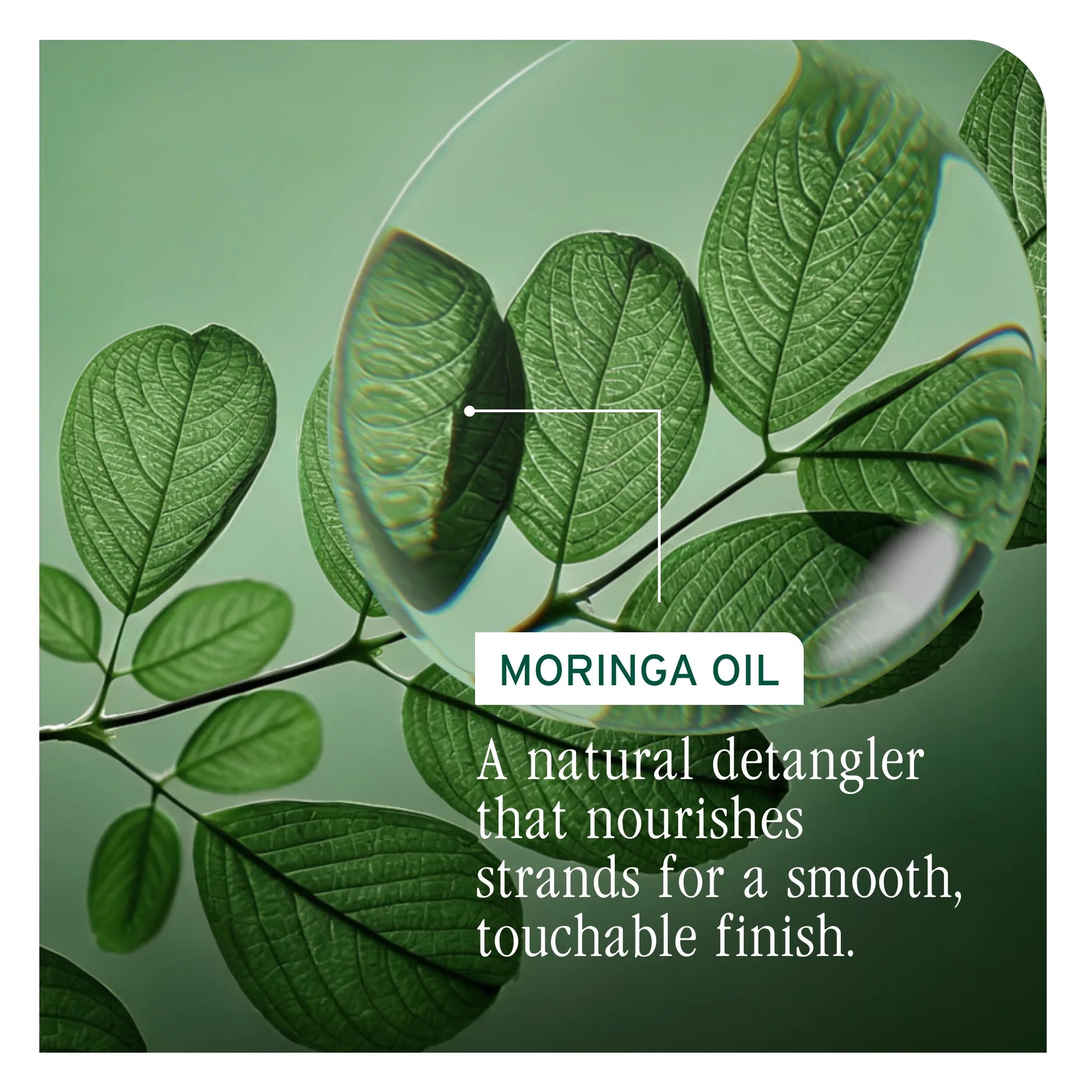 All-in-One Multi Benefit Oil