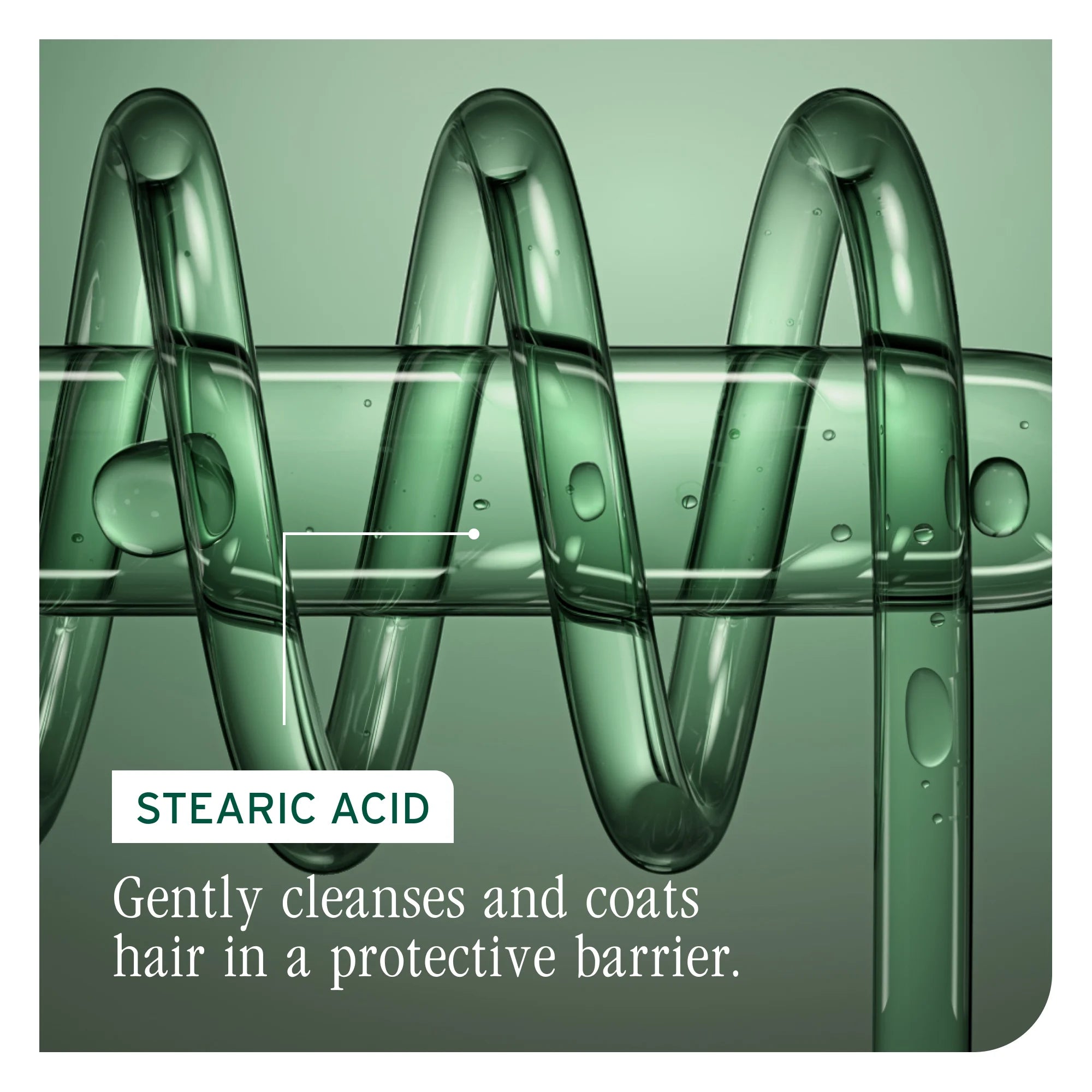 Color Last Conditioner