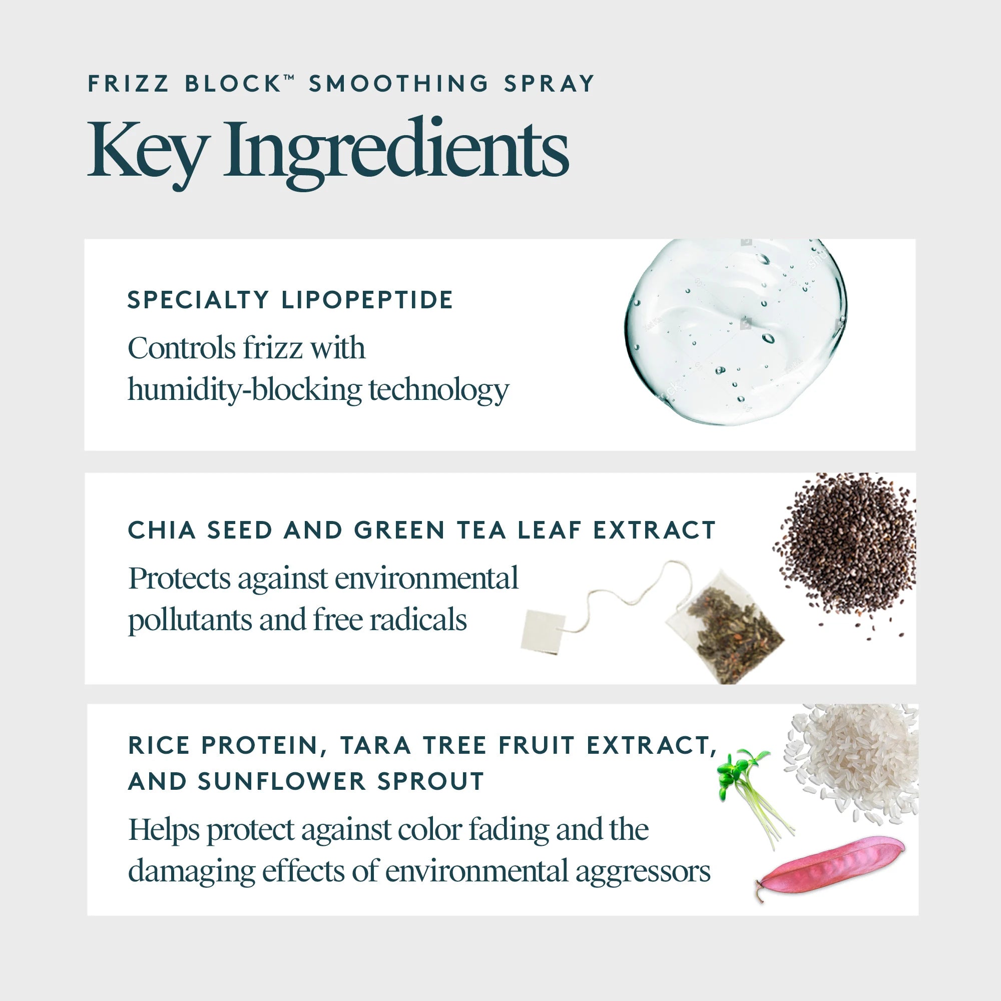Frizz Block™ Smoothing Spray