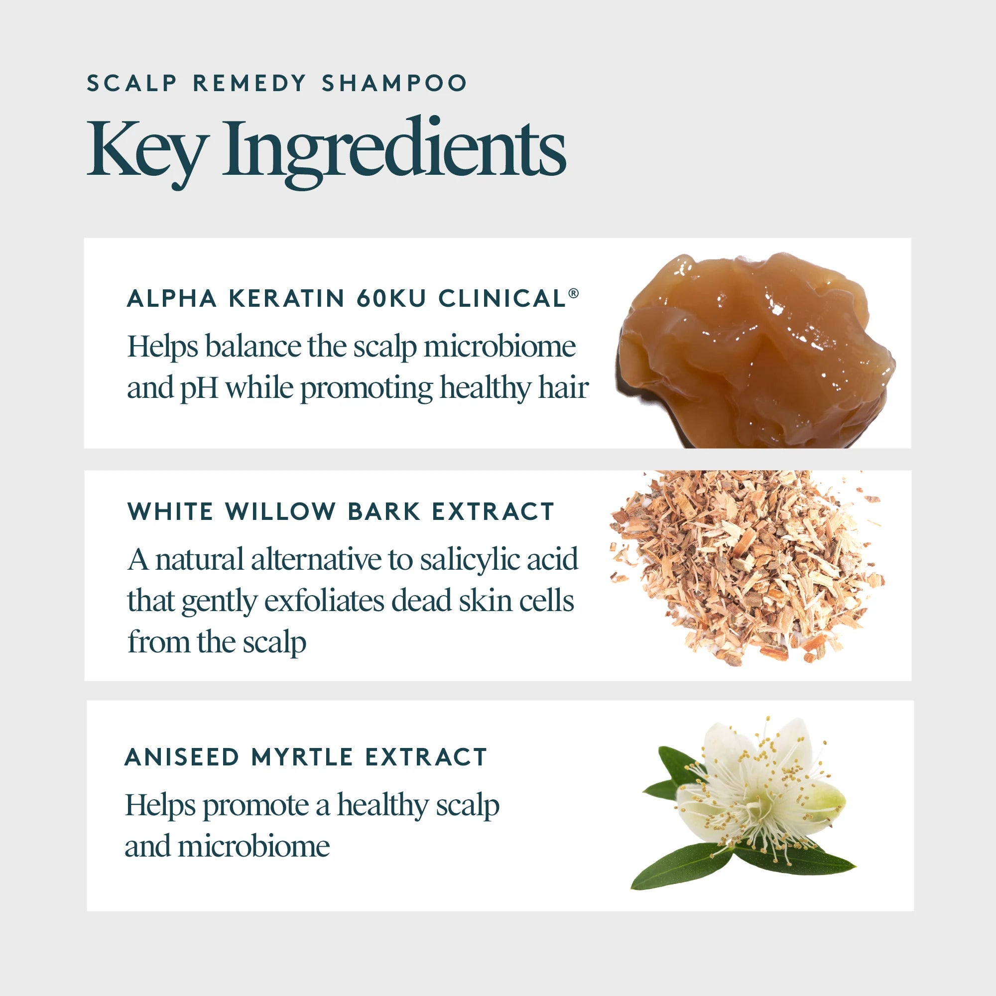 Scalp Remedy Shampoo
