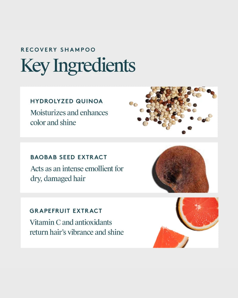 Recovery Shampoo