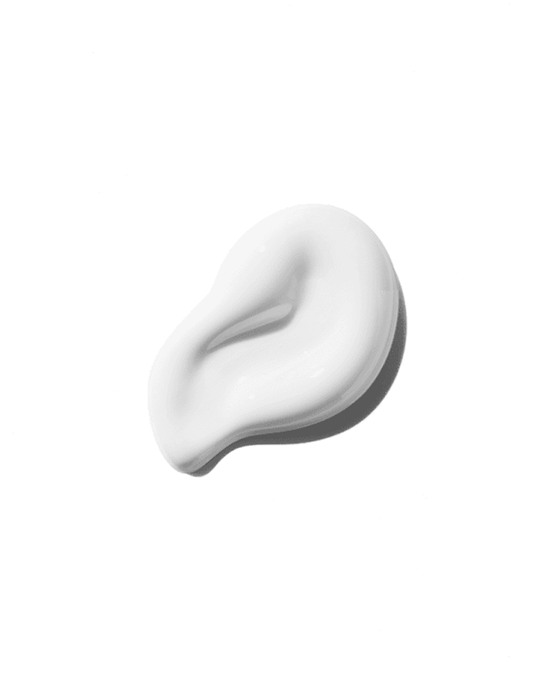 Curl Manifesto Crème De Jour Fondamentale