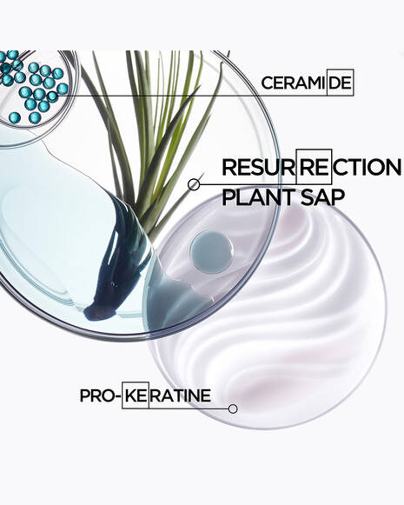 Resistance Bain Force Architecte