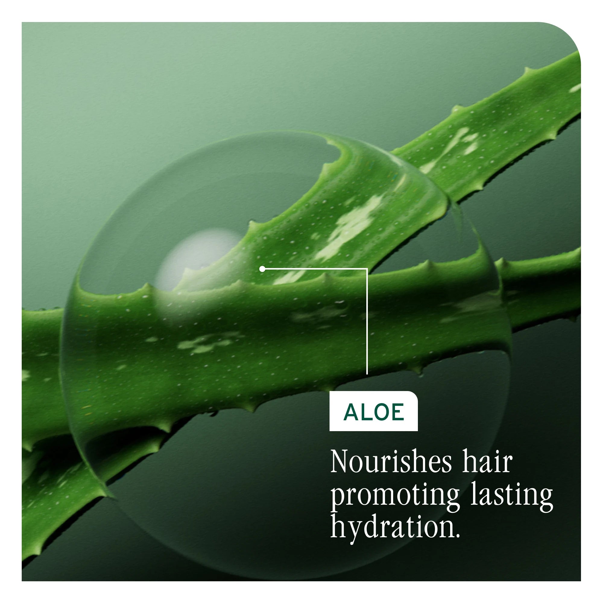 Hydrasource Deep Treatment Mask