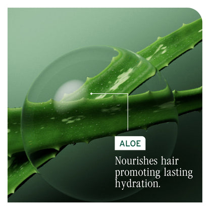 Hydrasource Deep Treatment Mask