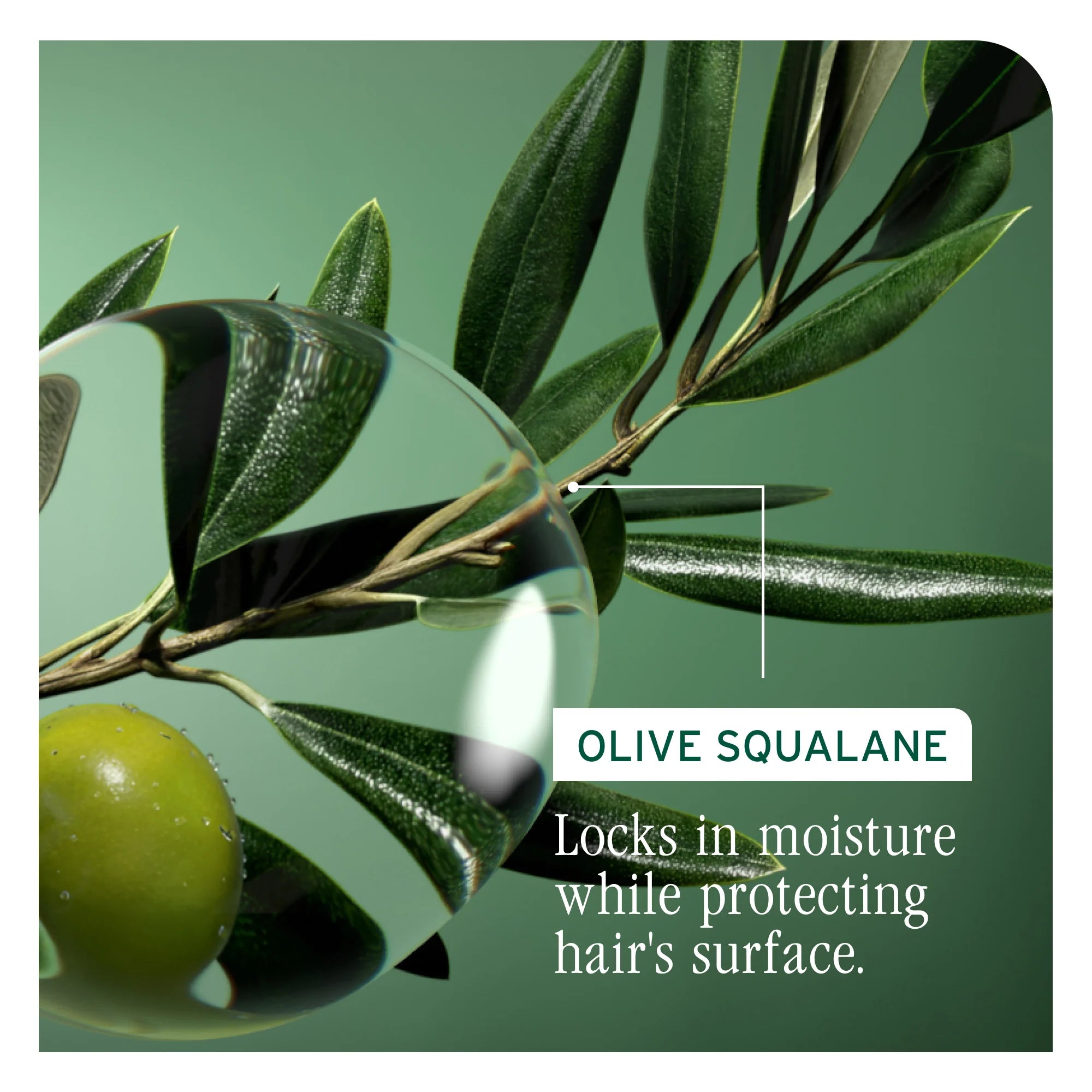 Hydrasource Deep Treatment Mask