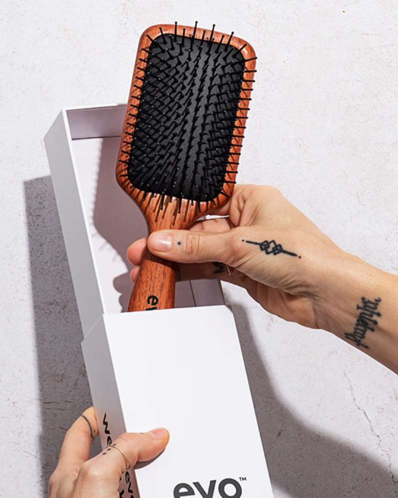 Pete Ionic Paddle Brush