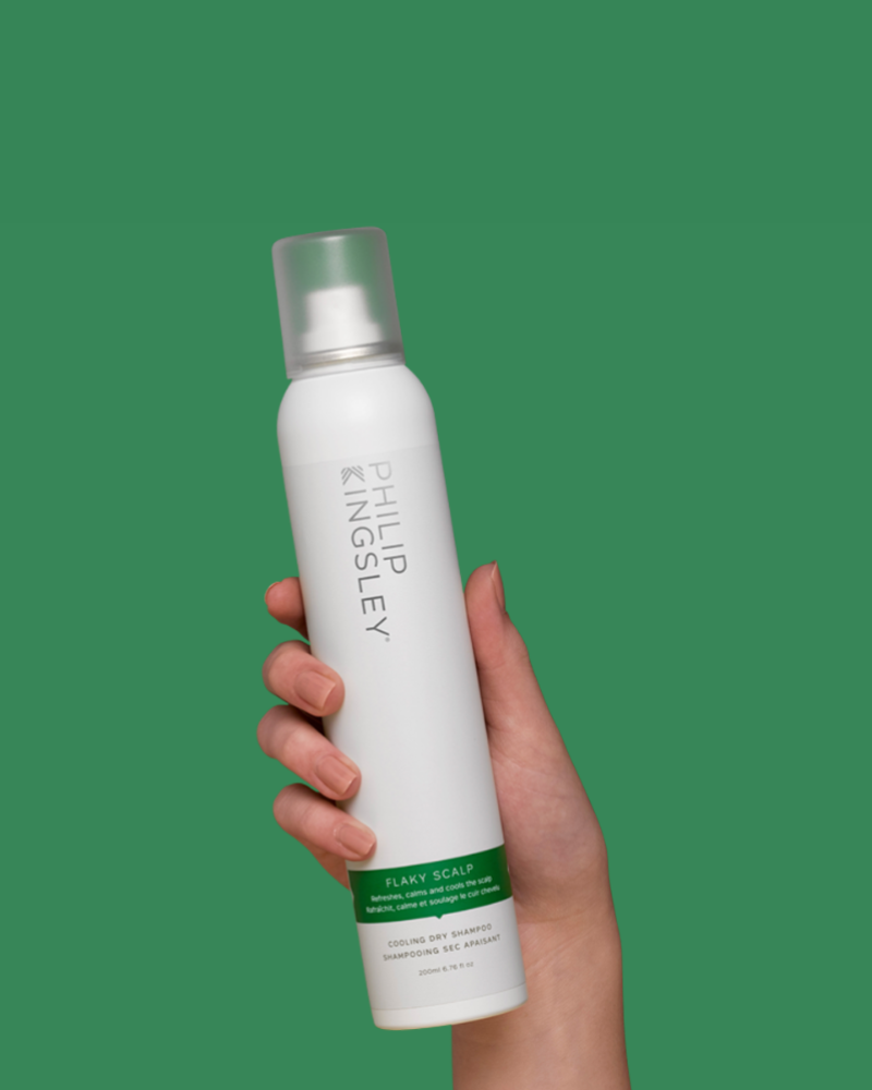 Philip Kingsley One More Day Refreshing Dry Shampoo Spray for Hair and Scalp, Oil Absorbing Volumizing Soothing Cleansing Between Washes Leave-In No-Rinse Shampoo for Oily All Hair Types, 200ml Philip Kingsley One More Day Refreshing Dry Shampoo Spray for Hair and Scalp, Oil Absorbing Volumizing Soothing Cleansing Between Washes Leave-In No-Rinse Shampoo for Oily All Hair Types, 200ml