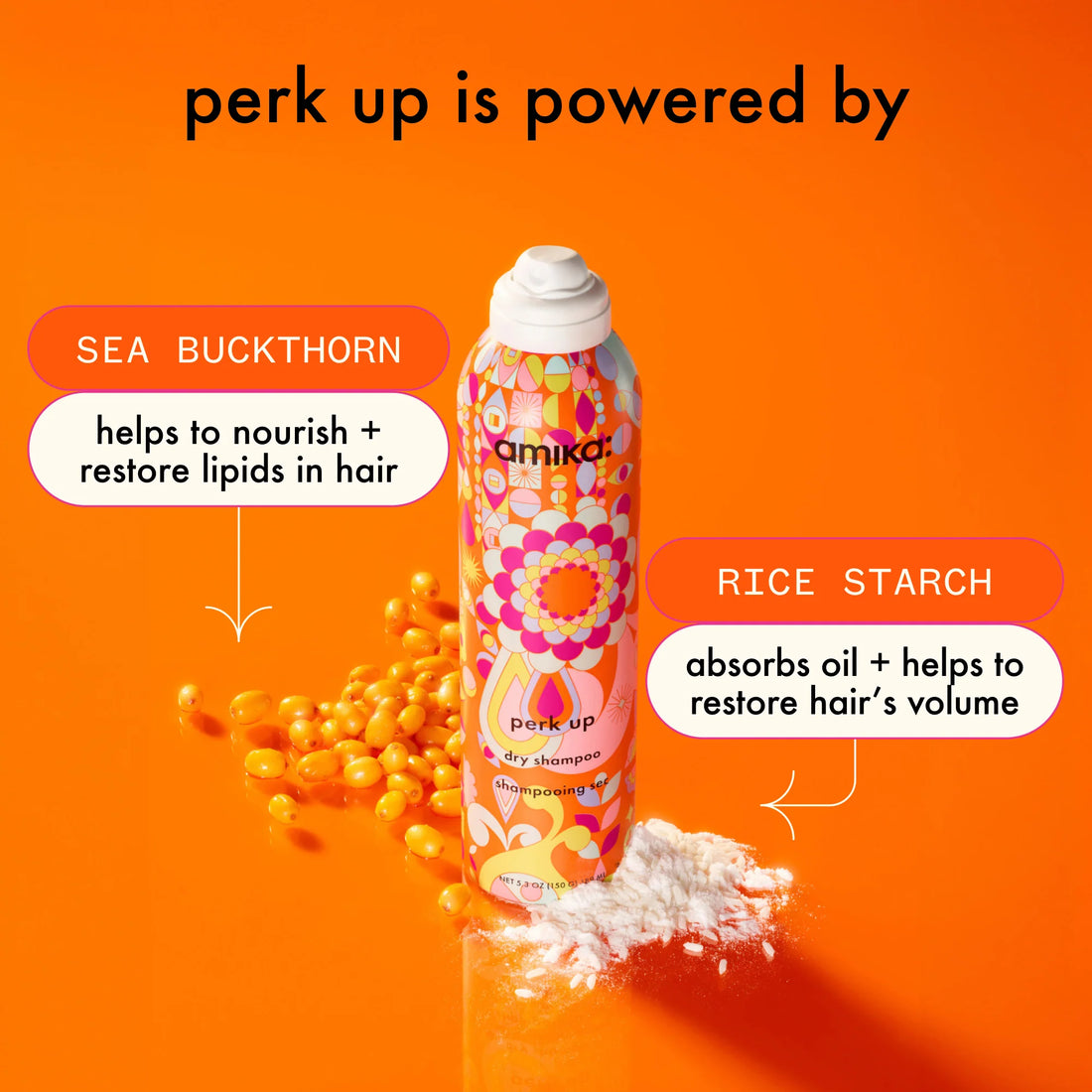 Perk Up Dry Shampoo