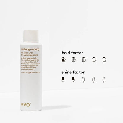 Shebang-a-bang Dry Spray Wax