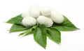 Silk amino acids