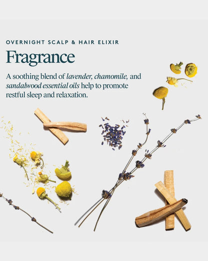 Overnight Hair &amp; Scalp Elixir