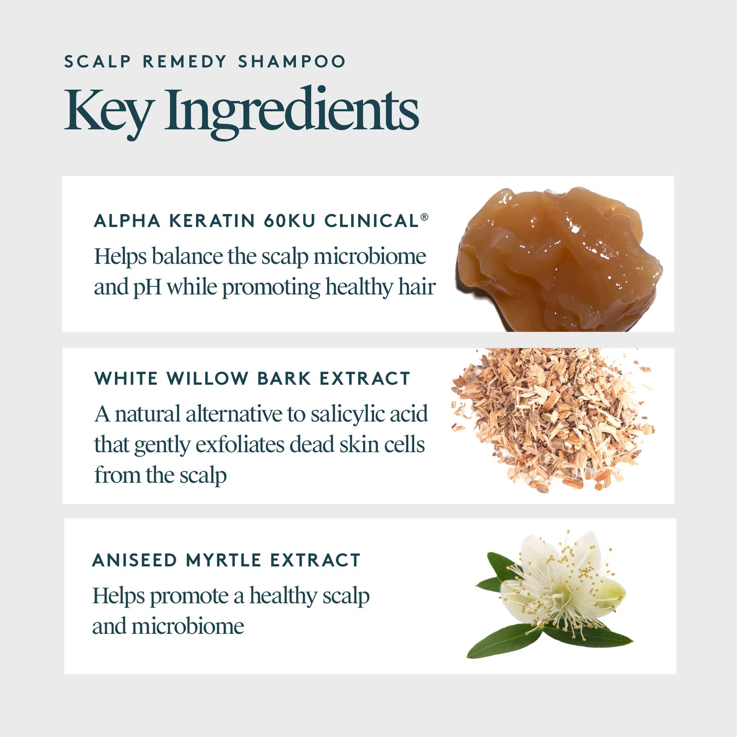 Scalp Remedy Shampoo